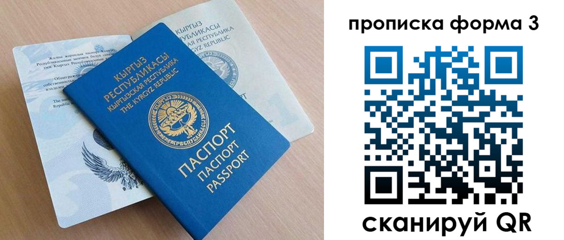 где прописаться в Ногинске