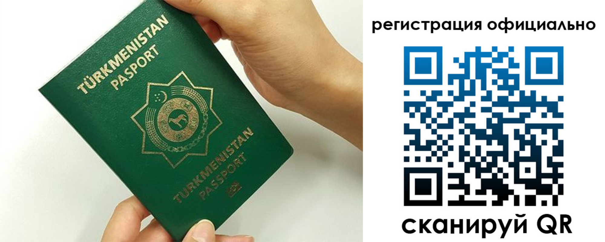 прописка поиск в Ногинске