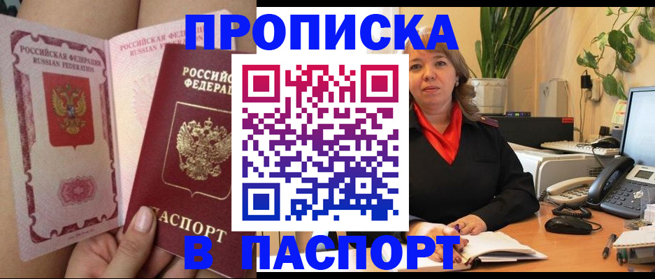 прописка поиск в Ногинске